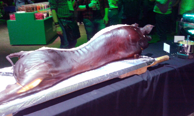 Pig time